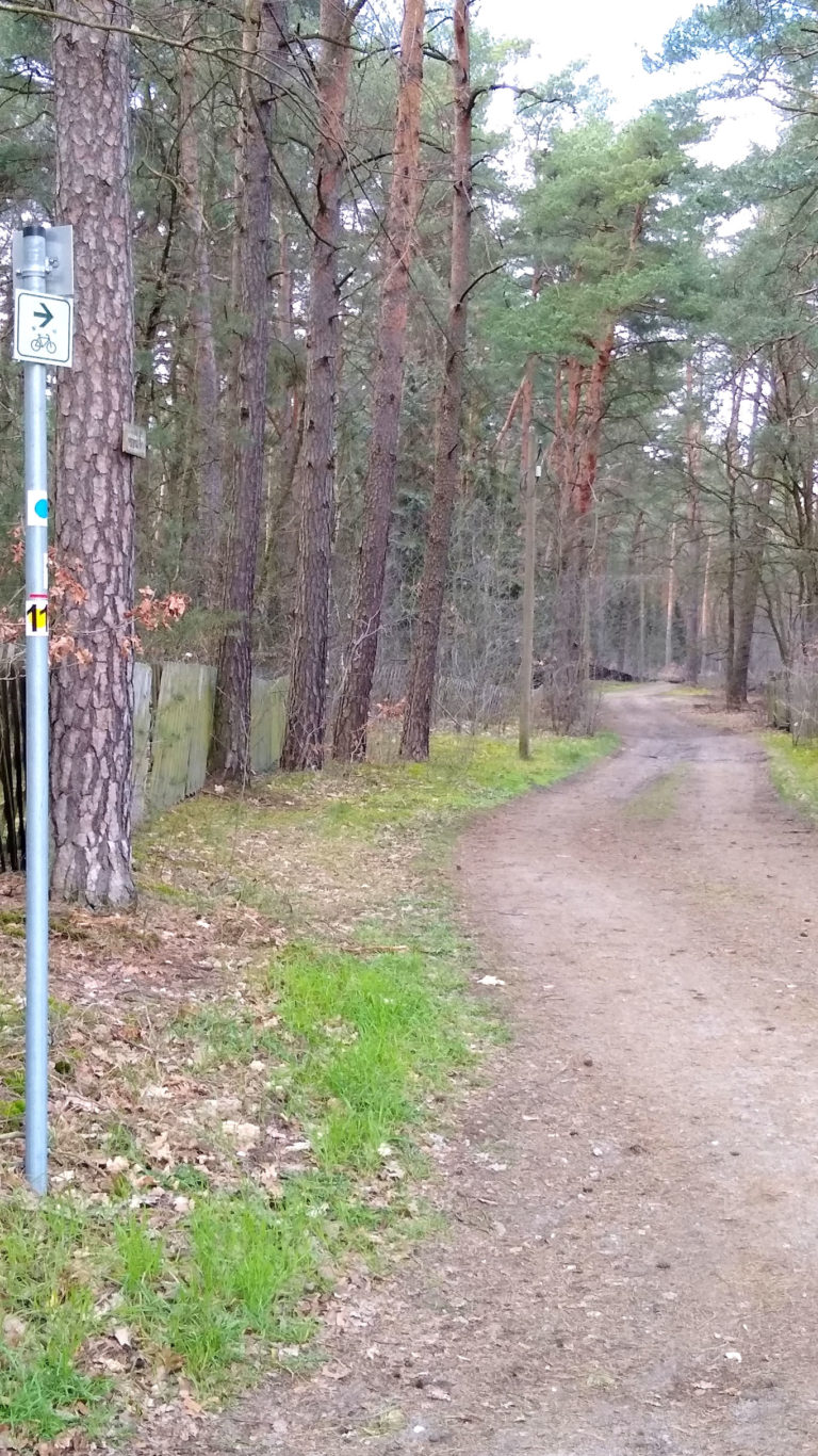 Radweg zwischen Summt und Wensickendorf