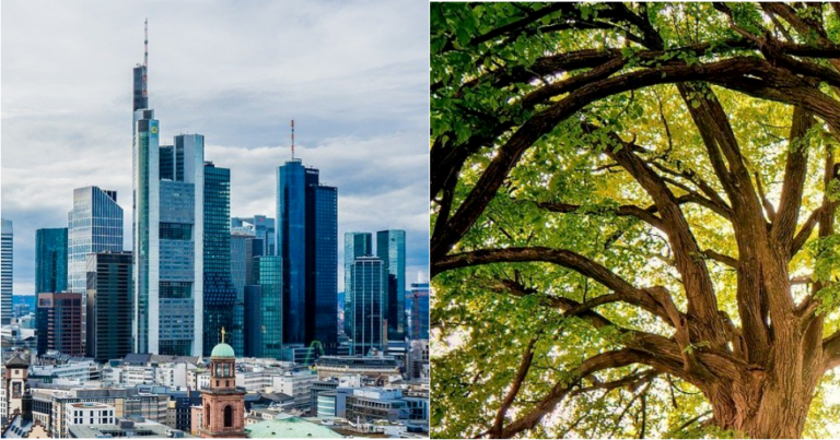 Nachhaltige Finanzen – was ist das eigentlich?