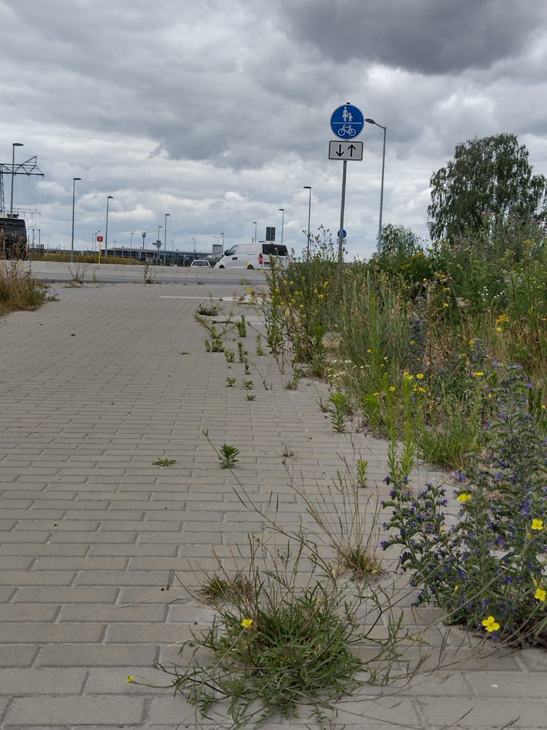 Radweg zum BER: ein Elend!