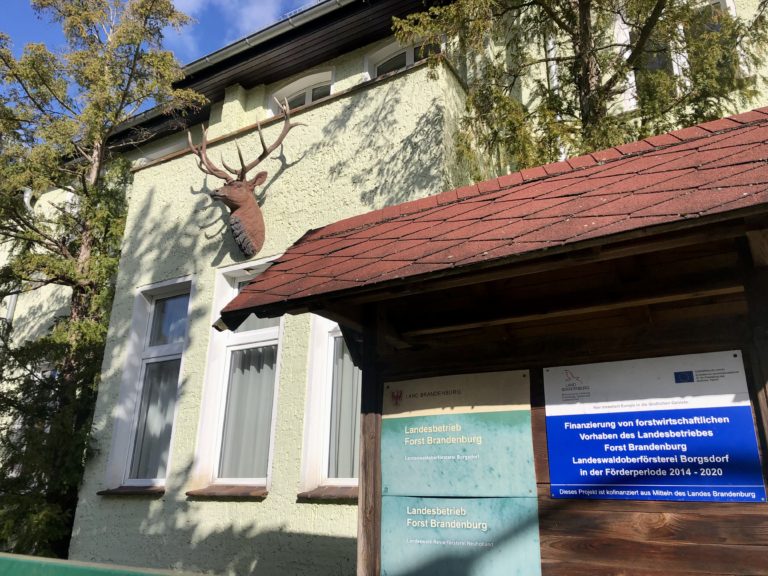 Moderne Forstverwaltung