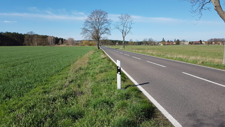 Fehlende Alleenbepflanzung zwischen Jütchendorf und Schiaß.