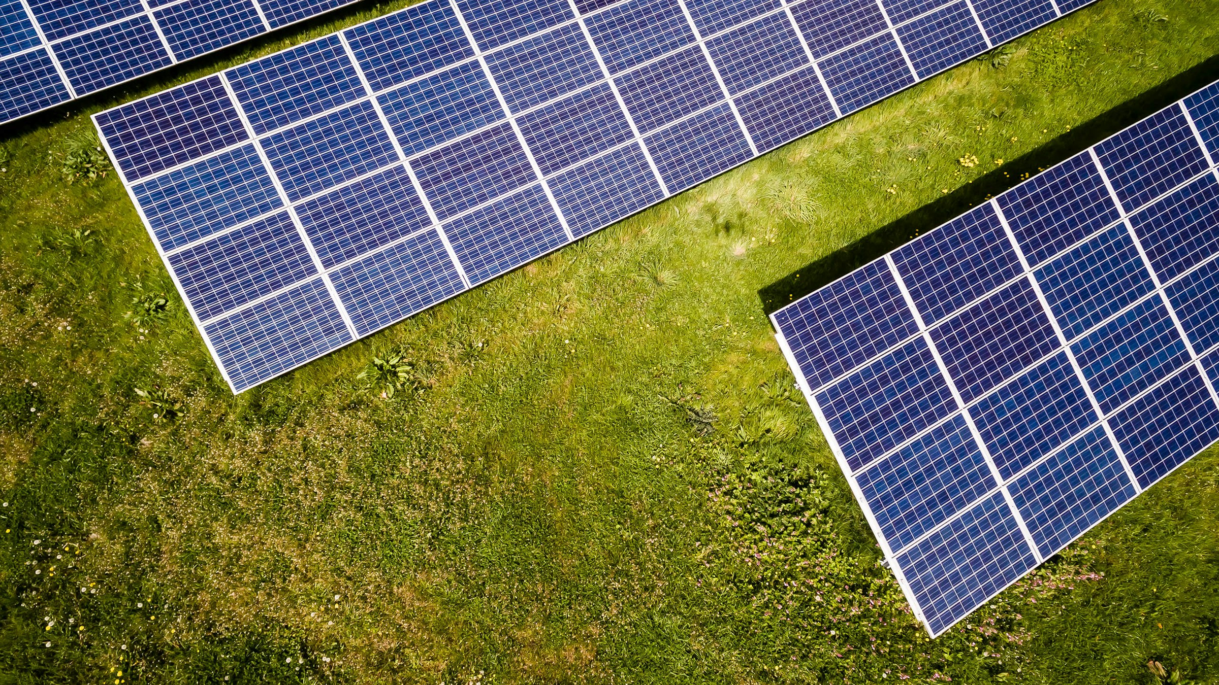 Solarpaneele auf grünem Rasen